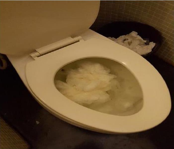 Clogged toilet that caused minor flooding in a restroom